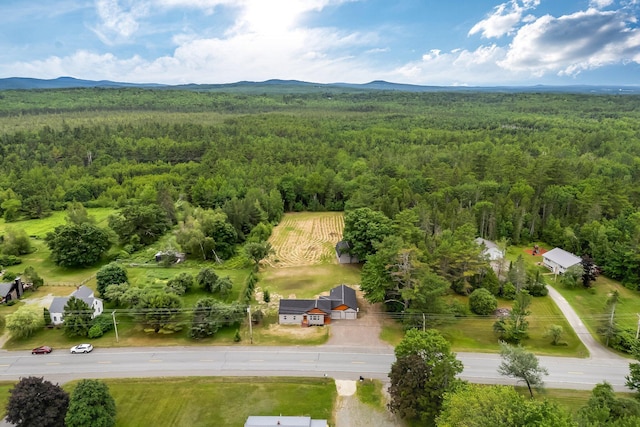 985 Main Rd, Eddington, ME 04428 - drone / aerial view of a forest and a mountainous background
