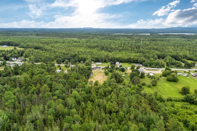 985 Main Rd, Eddington, ME 04428 - bird's eye view of a heavily wooded area