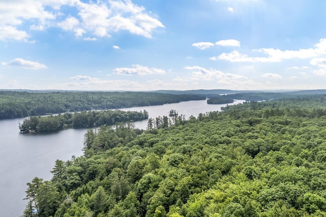 2 Falling Pines Ln, Readfield, ME 04355 - water view with a forest