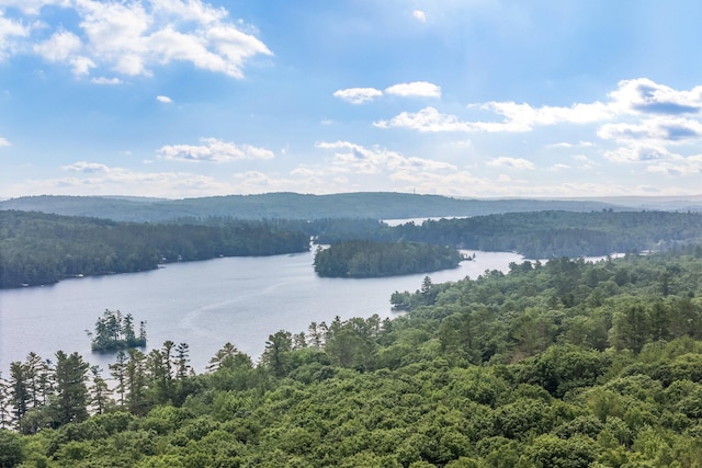 2 Falling Pines Ln, Readfield, ME 04355 - water view featuring a heavily wooded area