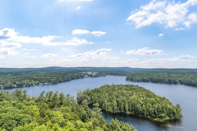 2 Falling Pines Ln, Readfield, ME 04355 - water view featuring a forest