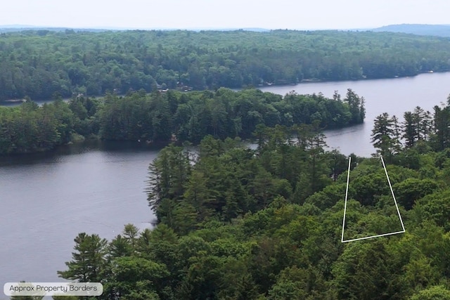2 Falling Pines Ln, Readfield, ME 04355 - water view featuring a heavily wooded area
