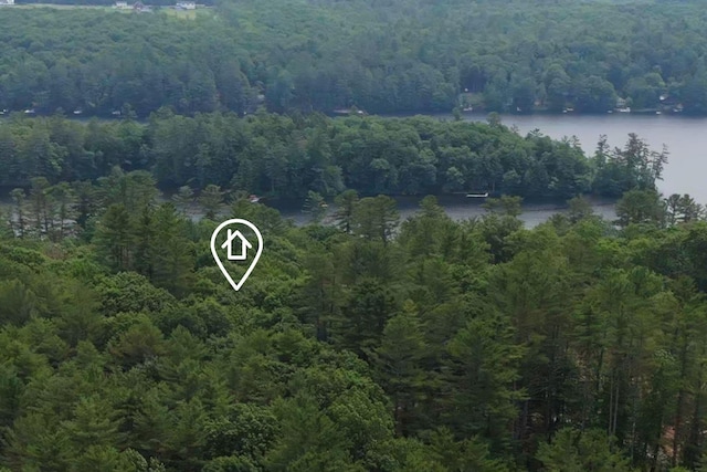 2 Falling Pines Ln, Readfield, ME 04355 - bird's eye view of a heavily wooded area and a nearby body of water