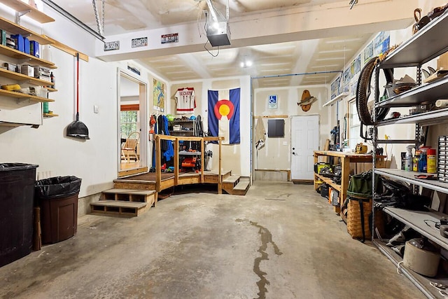 2 Falling Pines Ln, Readfield, ME 04355 - garage featuring a workshop area and a garage door opener