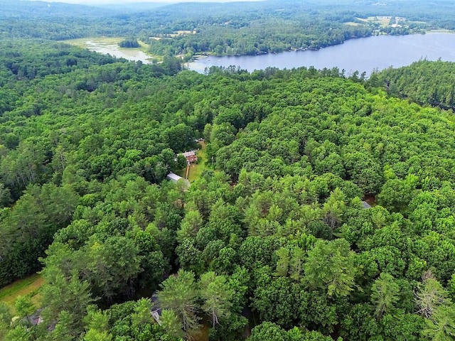 2 Falling Pines Ln, Readfield, ME 04355 - bird's eye view of a heavily wooded area and a nearby body of water