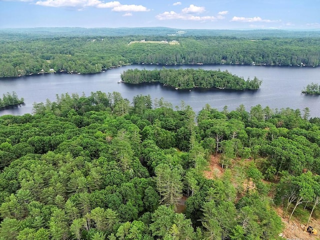 2 Falling Pines Ln, Readfield, ME 04355 - bird's eye view of a heavily wooded area and a nearby body of water