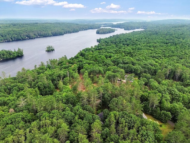 2 Falling Pines Ln, Readfield, ME 04355 - bird's eye view of a heavily wooded area and a nearby body of water