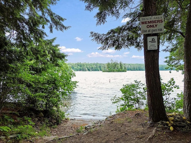 2 Falling Pines Ln, Readfield, ME 04355 - water view featuring a forest