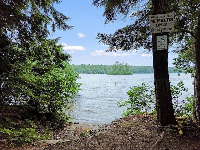 2 Falling Pines Ln, Readfield, ME 04355 - water view with a heavily wooded area