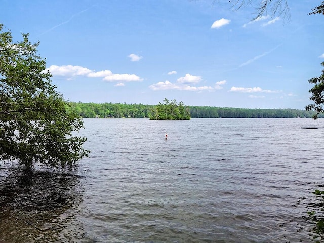 2 Falling Pines Ln, Readfield, ME 04355 - water view