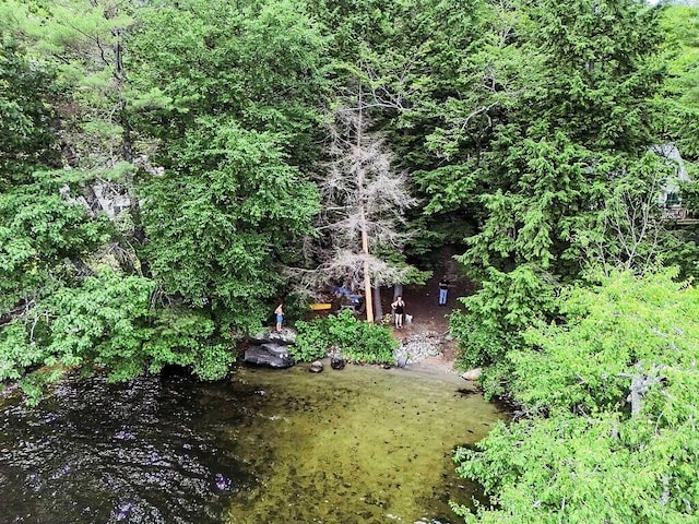 2 Falling Pines Ln, Readfield, ME 04355 - view of yard
