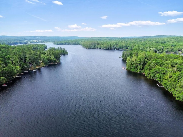 2 Falling Pines Ln, Readfield, ME 04355 - aerial view of a nearby body of water and a heavily wooded area