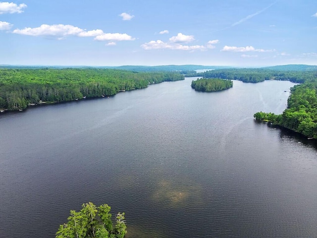 2 Falling Pines Ln, Readfield, ME 04355 - water view with a forest