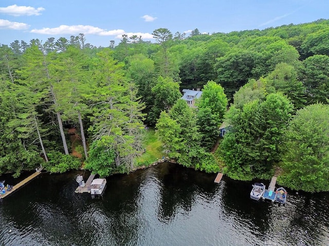 2 Falling Pines Ln, Readfield, ME 04355 - water view featuring a boat dock