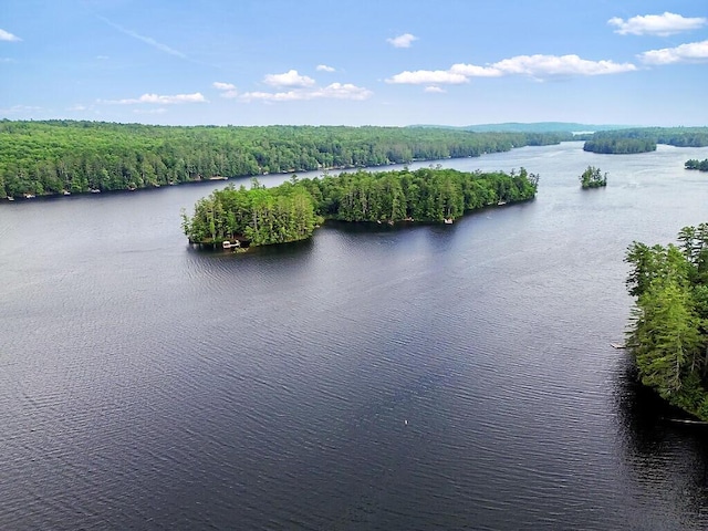 2 Falling Pines Ln, Readfield, ME 04355 - drone / aerial view of a large body of water