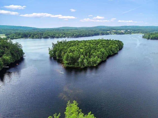 2 Falling Pines Ln, Readfield, ME 04355 - water view with a heavily wooded area