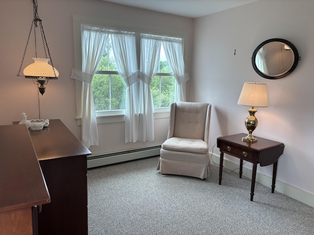 43 Parsonage St, Winterport, ME 04496 - photo 42