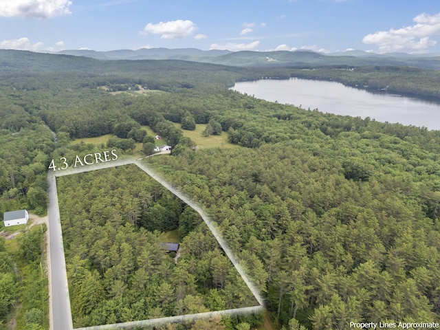 8 Whiting Ave, Waterford, ME 04088 - photo 26