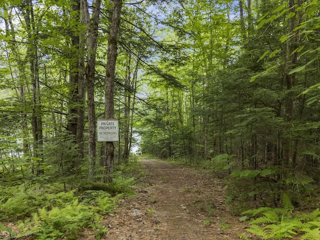 8 Whiting Ave, Waterford, ME 04088 - photo 27