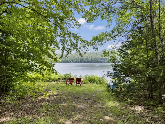 8 Whiting Ave, Waterford, ME 04088 - photo 28