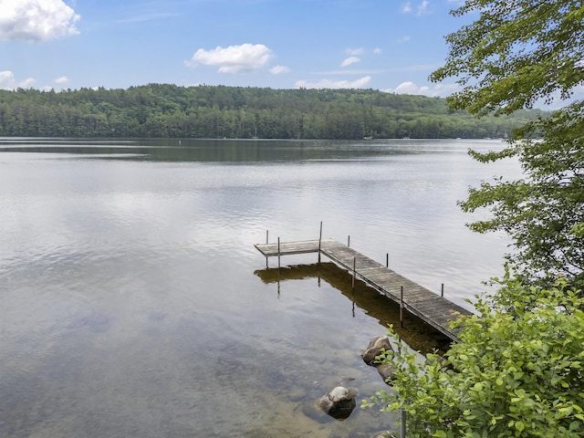 8 Whiting Ave, Waterford, ME 04088 - photo 29