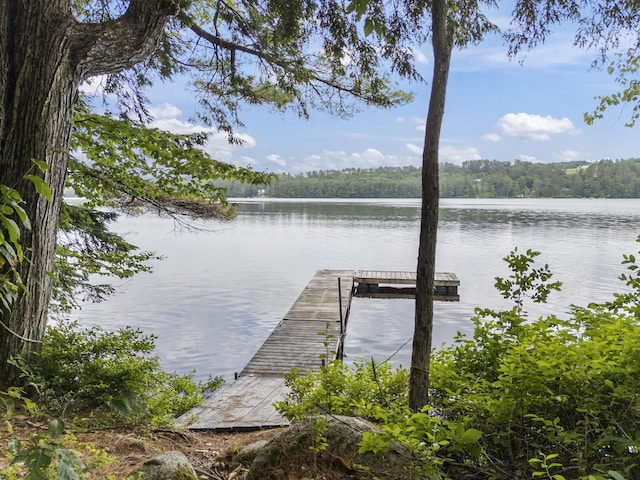 8 Whiting Ave, Waterford, ME 04088 - photo 34