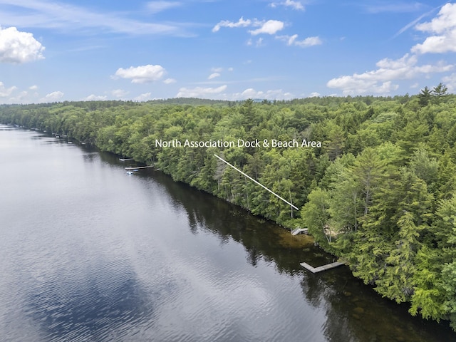 8 Whiting Ave, Waterford, ME 04088 - photo 35