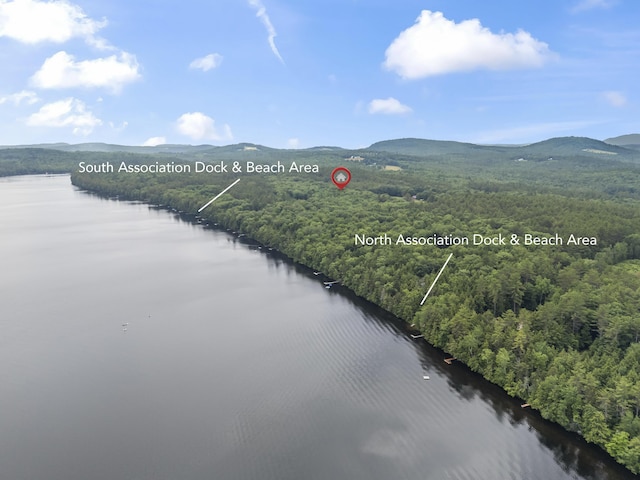 8 Whiting Ave, Waterford, ME 04088 - photo 36