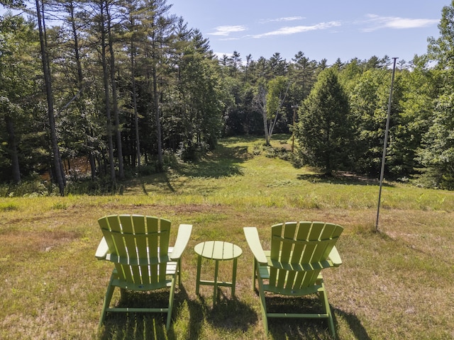 57 Cooks Mill Rd, Naples, ME 04055 - photo 52