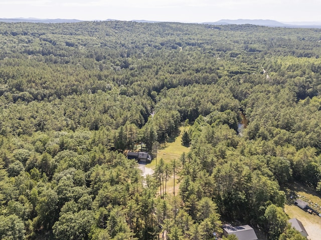 57 Cooks Mill Rd, Naples, ME 04055 - photo 60