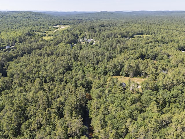 57 Cooks Mill Rd, Naples, ME 04055 - photo 62