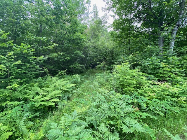 LOT17 Guilford Center Rd, Guilford, ME 04443 - photo 5