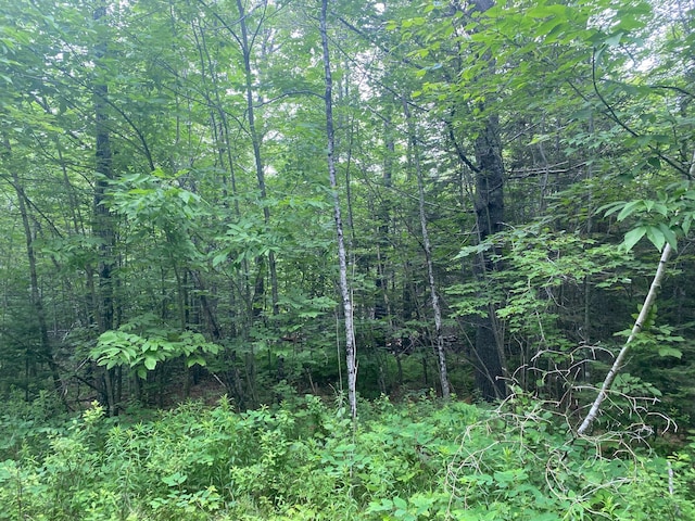 LOT17 Guilford Center Rd, Guilford, ME 04443 - photo 7