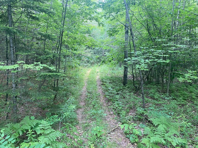 LOT17 Guilford Center Rd, Guilford, ME 04443 - photo 3
