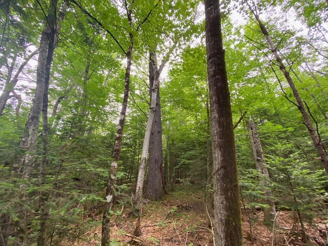 LOT17 Guilford Center Rd, Guilford, ME 04443 - photo 9