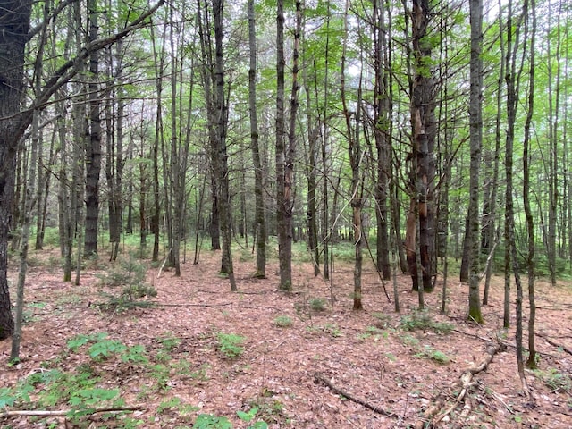 LOT17 Guilford Center Rd, Guilford, ME 04443 - photo 10