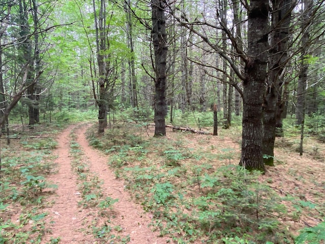 LOT17 Guilford Center Rd, Guilford, ME 04443 - photo 8