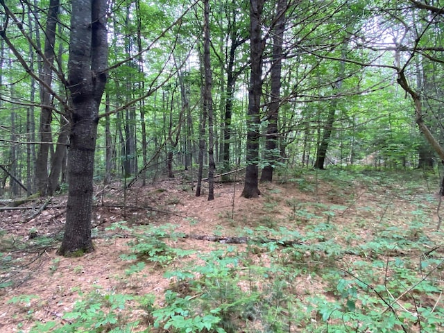 LOT17 Guilford Center Rd, Guilford, ME 04443 - photo 13