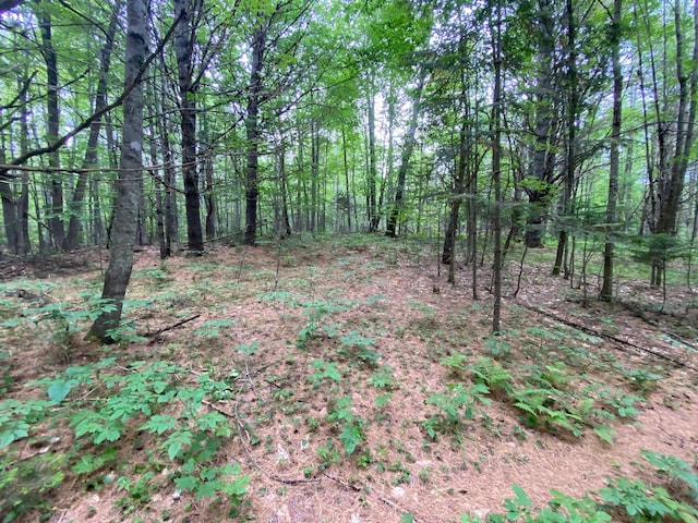 LOT17 Guilford Center Rd, Guilford, ME 04443 - photo 14