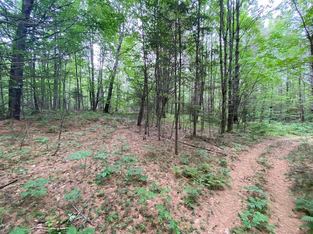 LOT17 Guilford Center Rd, Guilford, ME 04443 - photo 12
