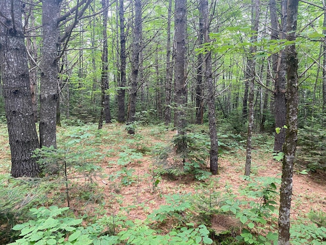 LOT17 Guilford Center Rd, Guilford, ME 04443 - photo 15