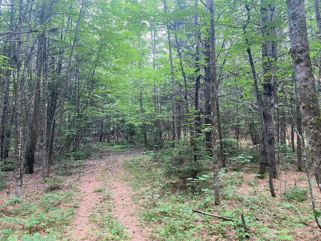 LOT17 Guilford Center Rd, Guilford, ME 04443 - photo 16