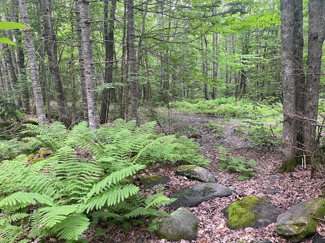 LOT17 Guilford Center Rd, Guilford, ME 04443 - photo 4