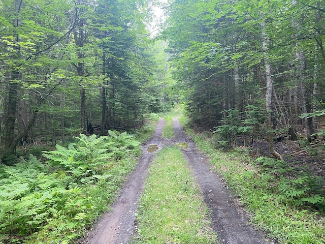 LOT17 Guilford Center Rd, Guilford, ME 04443 - photo 18