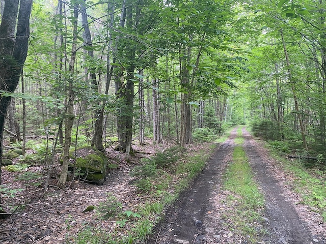LOT17 Guilford Center Rd, Guilford, ME 04443 - photo 17