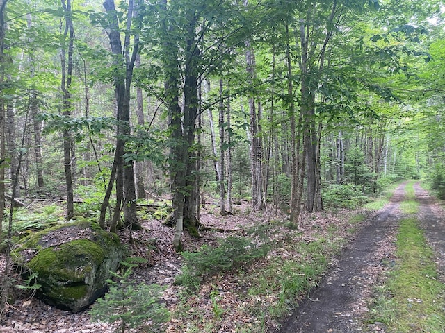 LOT17 Guilford Center Rd, Guilford, ME 04443 - photo 19