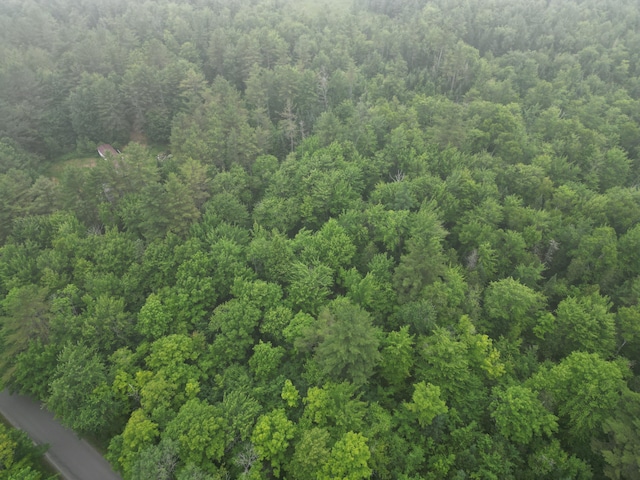 LOT17 Guilford Center Rd, Guilford, ME 04443 - photo 20