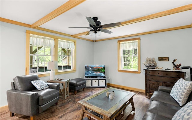 134 Powers Drive Ln, Orland, ME 04472 - living area featuring wood finished floors and ceiling fan