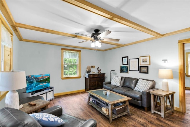 134 Powers Drive Ln, Orland, ME 04472 - living area with wood finished floors, ceiling fan, and crown molding