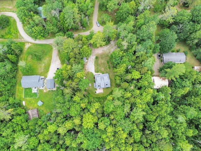 134 Powers Drive Ln, Orland, ME 04472 - aerial overview of property's location